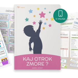 Sistem hišnih opravil