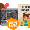 Delovne navade